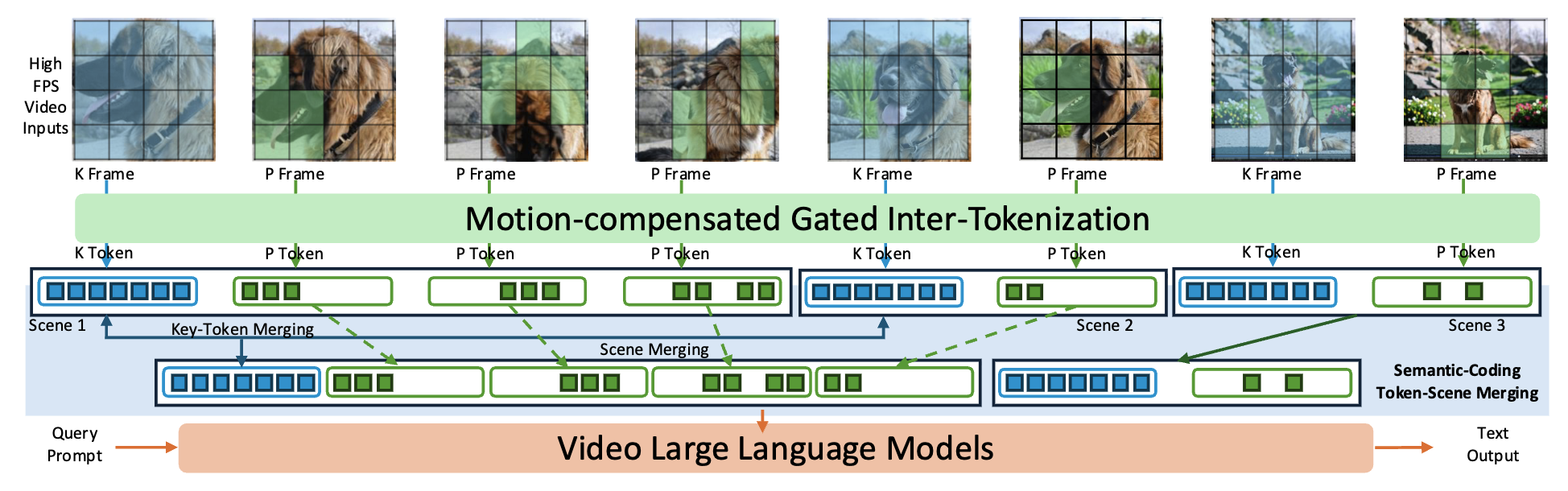 DIVE — Dense Information Video Evaluation