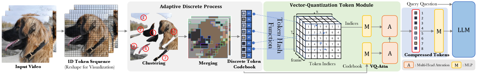 VQToken: token dynamics visualization